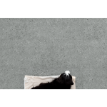 Arbiton Amaron Forma Aveiro Grey CAF 254 parchet SPC 5 mm - imagine 4